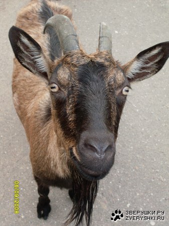 �� �������, � ������ ;)