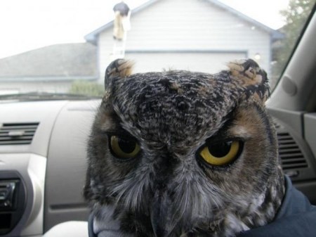 ����� ������ (6 ����)