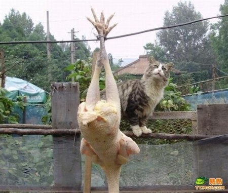 ������ ������ ������� :)