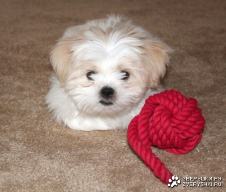 ��������� ������� ;)