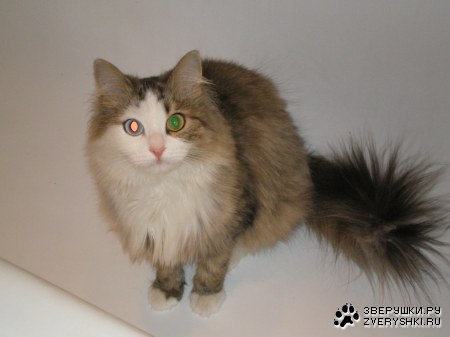 ���������� ;)