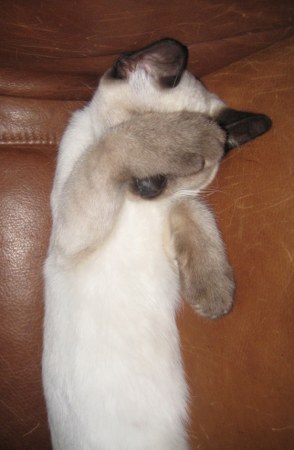 �� ���� ��������... :)