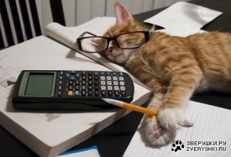 ������� �������� ����� ;)