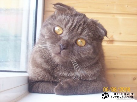 ������� ;)