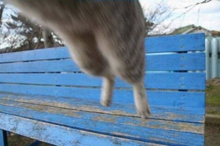 ��������� ���������� ������ ;)