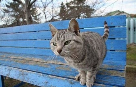 ��������� ���������� ������ ;)