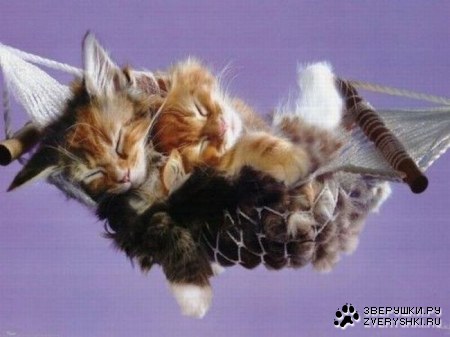 �������! :)