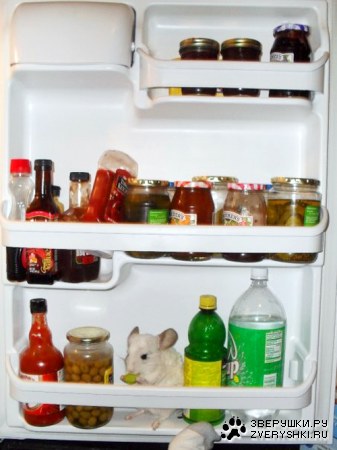 �������� ������� :)