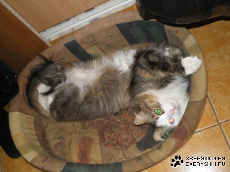 �������� ������ ����!