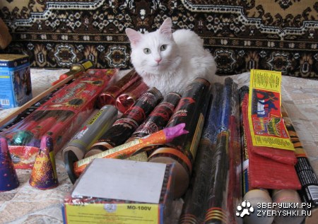 ����������� ������ ���� � ��������� �� �����! :)