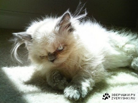 ��������������! ;)