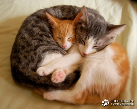 ��������� ;)