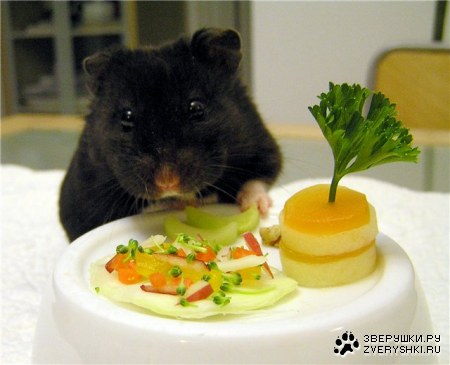 ������� �������� :)