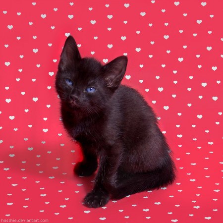 ������� ������� ;)