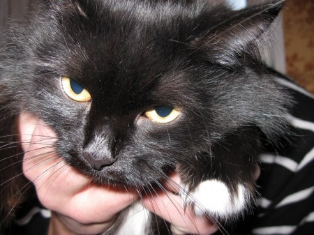 ����� �����������? :)