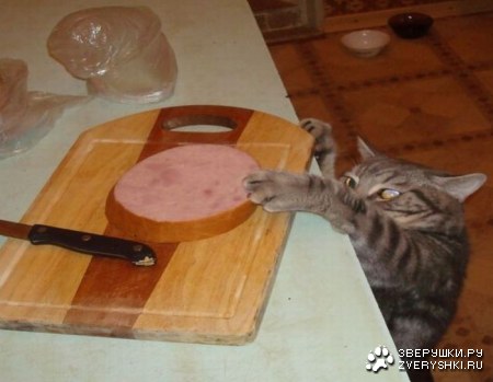 � ���� ��� ����� �������! :)