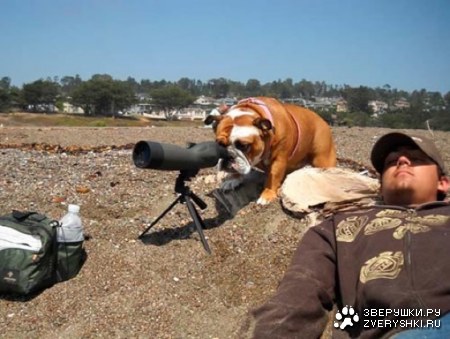 �� �����, � � ��� �� ���� ���������! ;)