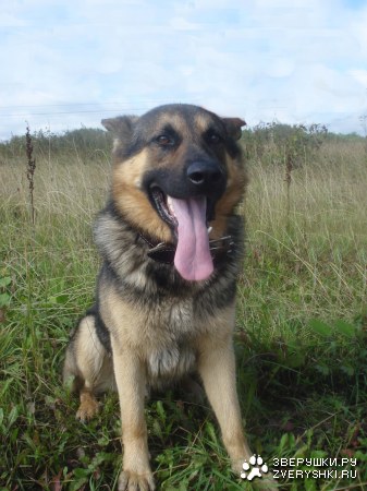 � ����� �� ������� :)