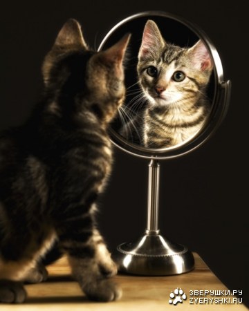 � �� �� ����� ���� �����? :)