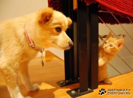 ������� � ������? :)