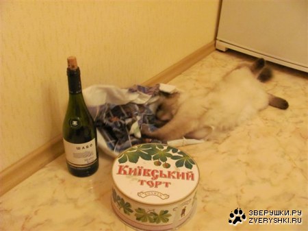 ������������� :)