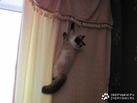 ������������ ;)