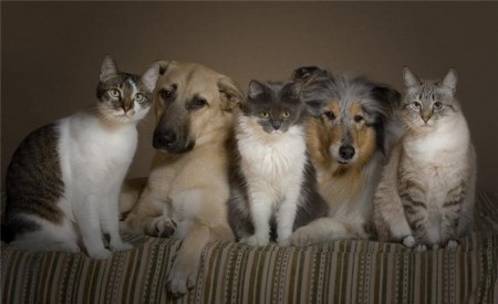 �������� ������� :)