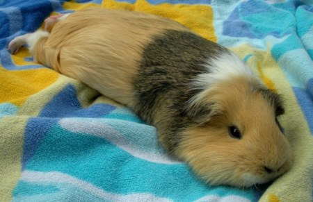 �������! :)