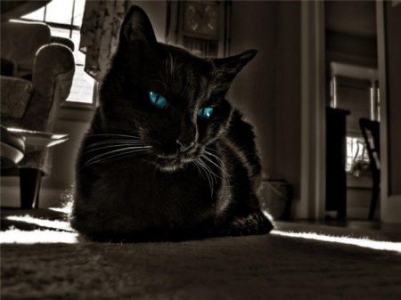 �������� (14 ����)