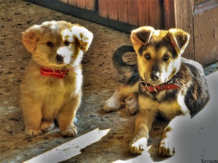 �������� (14 ����)