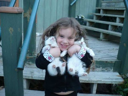 �������� (14 ����)