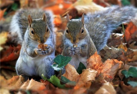 �������� (14 ����)