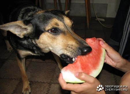 � ��� ��� �� �������! :)