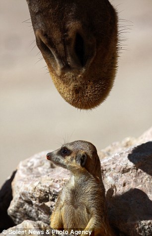 ������, �����! ;)