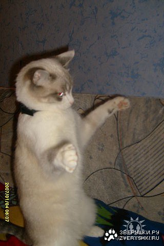 �������-������� :)