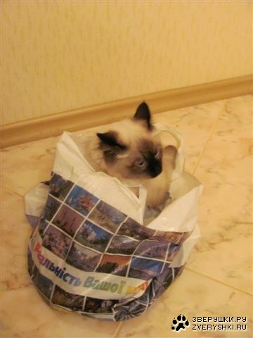 ���������� ����� ����� :)