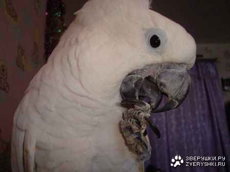 ��� �������� ���� ������� :)