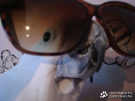 �� ��� ������! :)