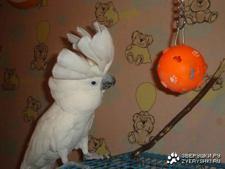 �������� � ��� :)