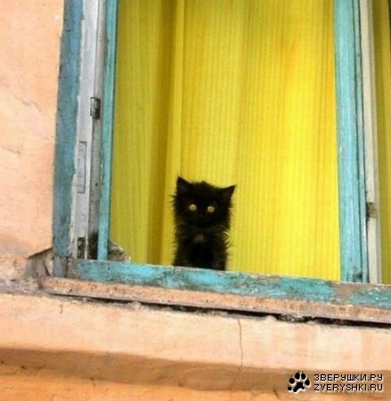 ������� ;)