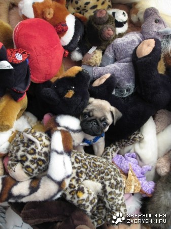 ����� ����! :)