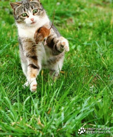 ��������� ���������� :)