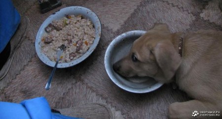 ������ ����� �������...