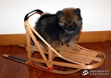 ���������� �� ��������? ;)