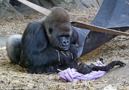 ����� ��������� ;)