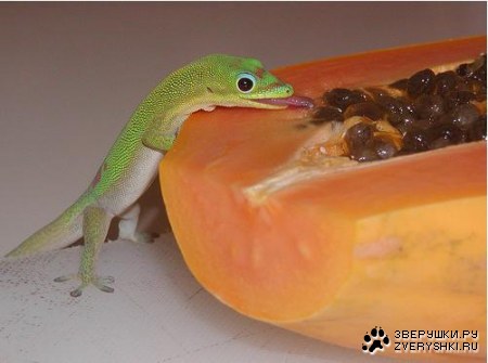 ���������� :)