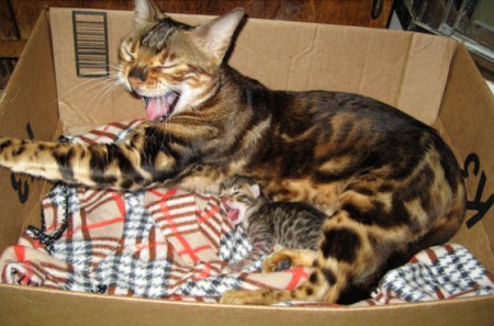 �� �� ������ ������...