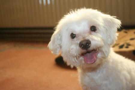 ���� ������! ;)