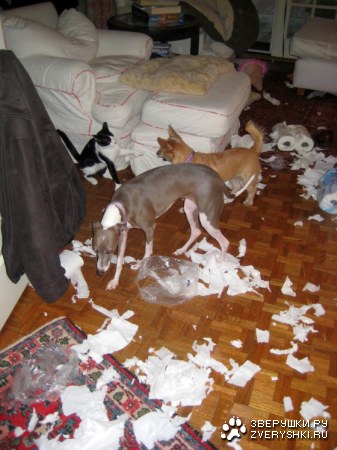 ��� ��� ��������! :)