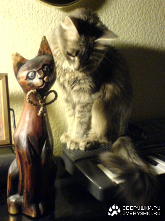 �������� ��� (8 ����������)